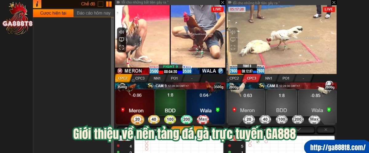 Giới thiệu về nền tảng đá gà trực tuyến GA888